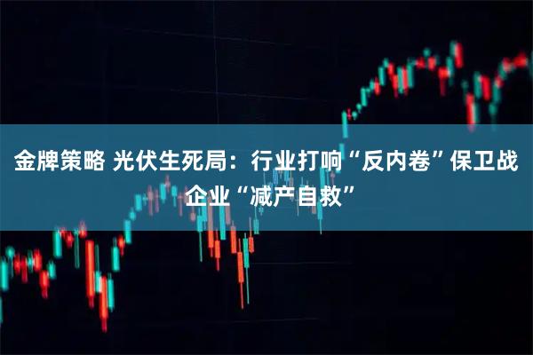 金牌策略 光伏生死局:行业打响“反内卷”保卫战 企业“减产自救”